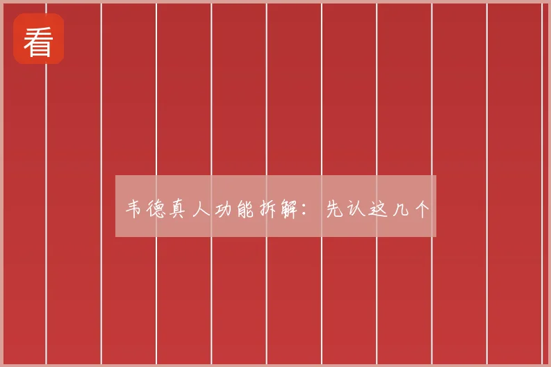 韦德真人功能拆解：先认这几个